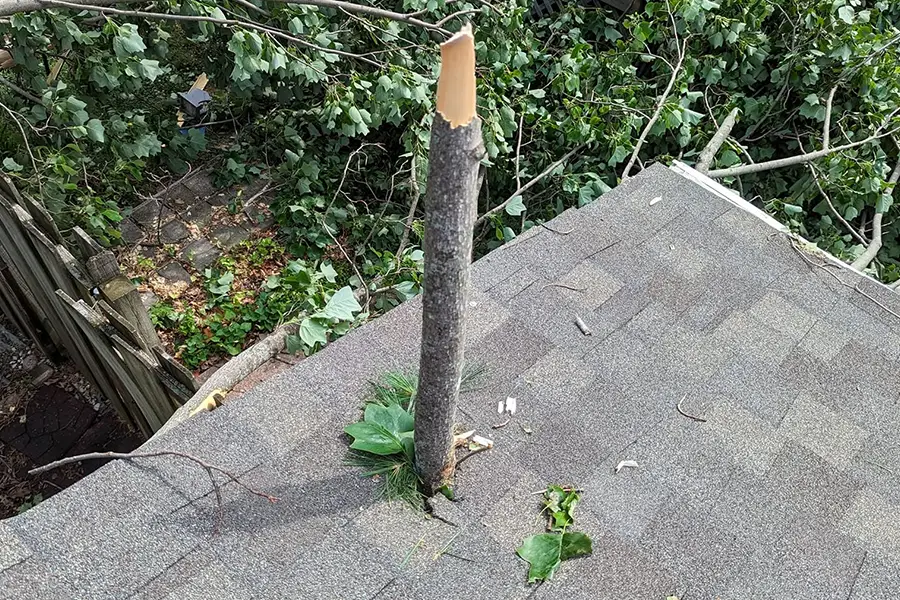 Storm Damage Restoration