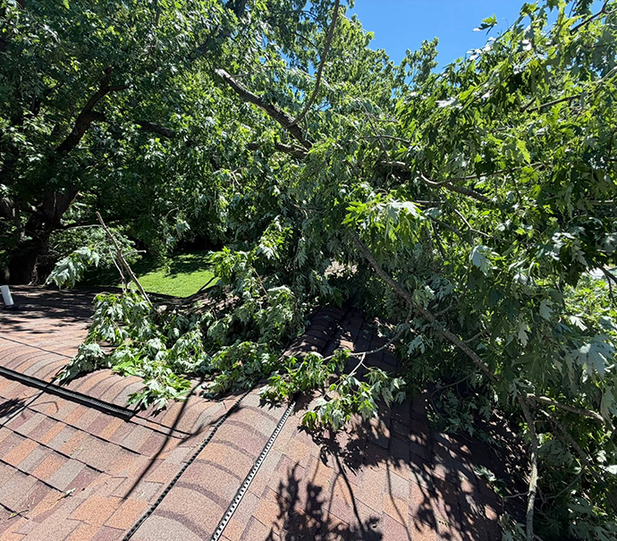 Storm Damage Restoration Services in nokomis IL