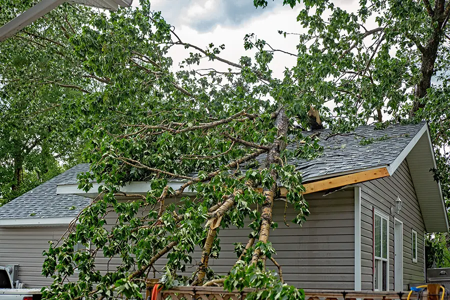 Storm Damage Support